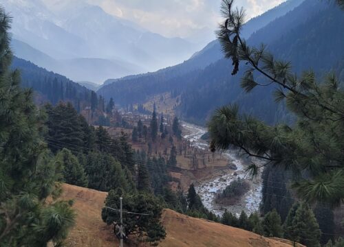 Yoga in the Himalayas: A Journey to Nature’s Serenity