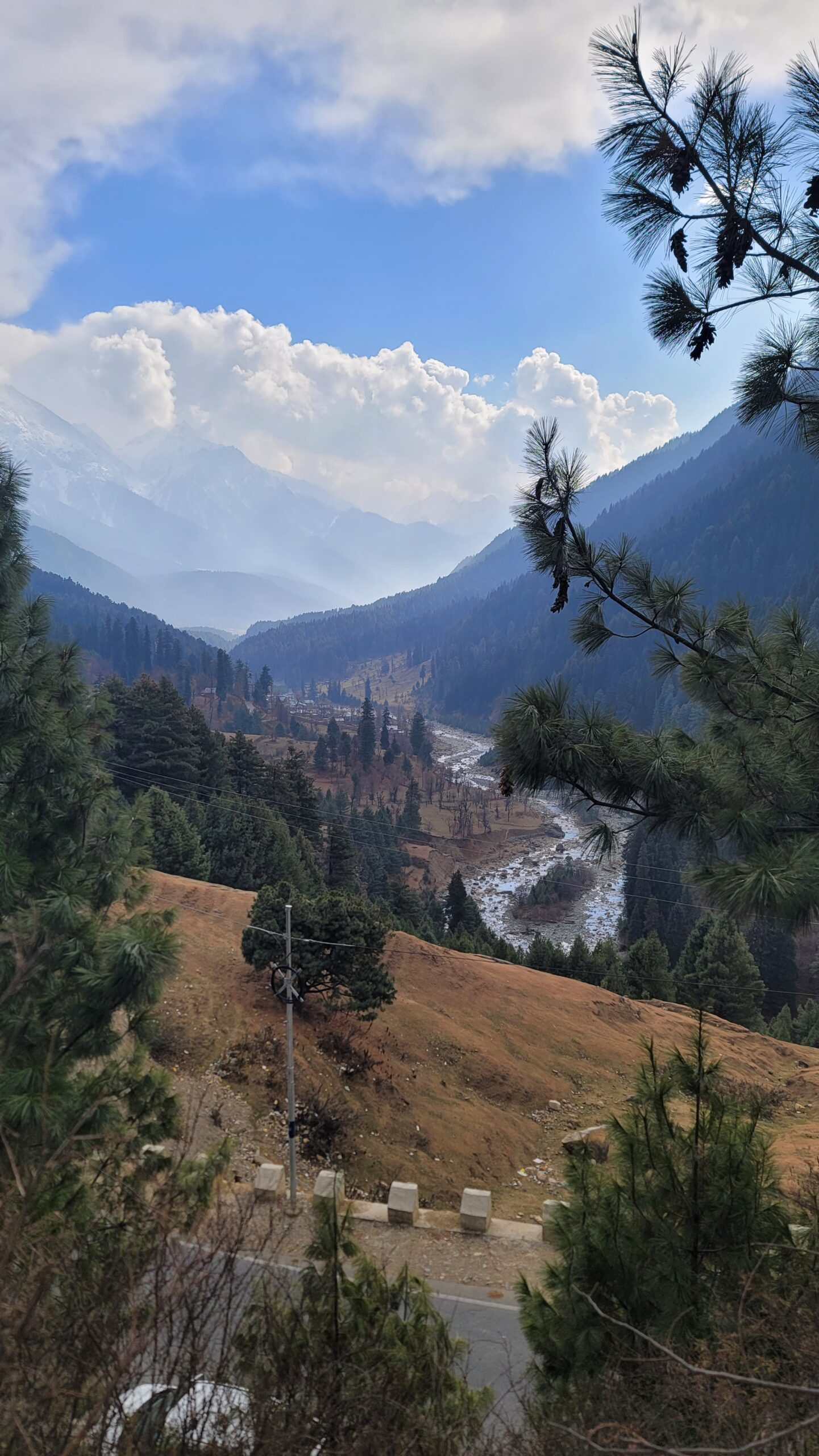 Yoga in the Himalayas