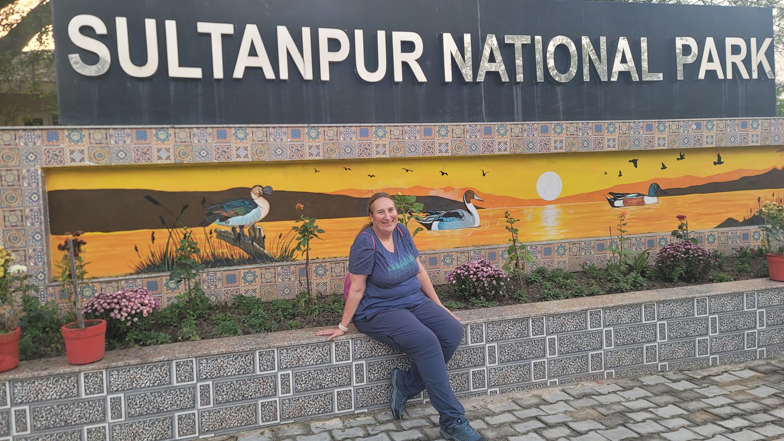 A picture of myself at the entrance of Sultanpur, which has a beautiful birding mural.